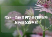 推荐一些适合初学者的数据库服务器配置教程