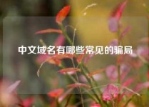 中文域名有哪些常见的骗局