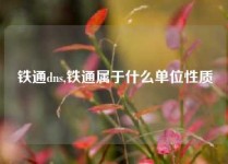 铁通dns,铁通属于什么单位性质
