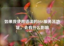 如果我使用错误的DNS服务器地址，会有什么影响