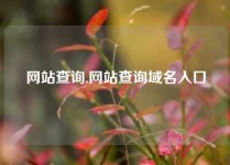 网站查询,网站查询域名入口