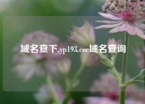 域名查下,yp193.coc域名查询