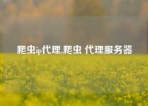 爬虫ip代理,爬虫 代理服务器