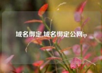 域名绑定,域名绑定公网ip