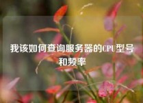 我该如何查询服务器的CPU型号和频率