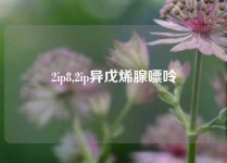 2ip8,2ip异戊烯腺嘌呤