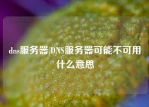 dns服务器,DNS服务器可能不可用什么意思