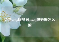 免费smtp服务器,smtp服务器怎么填