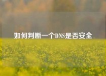 如何判断一个DNS是否安全