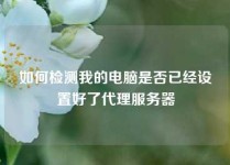 如何检测我的电脑是否已经设置好了代理服务器
