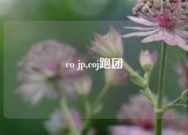 co jp,coj跑团