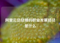 阿里云总经理的职业发展路径是什么