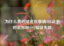 为什么我的域名在申请SSL证书时会出现DNS验证失败