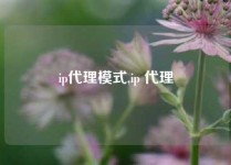 ip代理模式,ip 代理