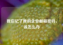 我忘记了我的企业邮箱密码，该怎么办