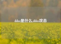 ddos是什么,ddos攻击