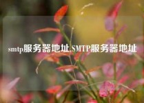 smtp服务器地址,SMTP服务器地址