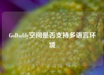 GoDaddy空间是否支持多语言环境