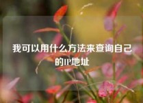 我可以用什么方法来查询自己的IP地址