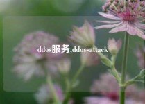 ddos服务,ddos-attack