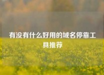 有没有什么好用的域名停靠工具推荐