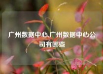 广州数据中心,广州数据中心公司有哪些