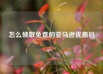 怎么领取免费的亚马逊优惠码