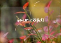 ip167,IP167双头灯