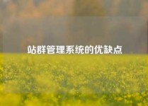 站群管理系统的优缺点
