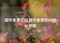 国外免费空间,国外免费空间网站申请