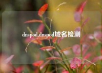 dnspod,dnspod域名检测
