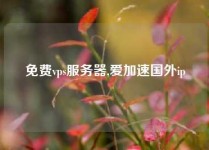 免费vps服务器,爱加速国外ip
