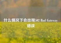 什么情况下会出现502 Bad Gateway错误