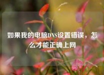 如果我的电脑DNS设置错误，怎么才能正确上网