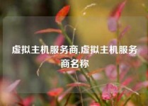 虚拟主机服务商,虚拟主机服务商名称