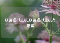 联通虚拟主机,联通虚拟主机有哪些