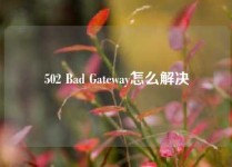 502 Bad Gateway怎么解决