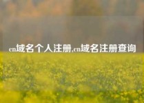 cn域名个人注册,cn域名注册查询