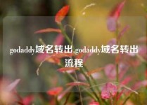 godaddy域名转出,godaddy域名转出流程