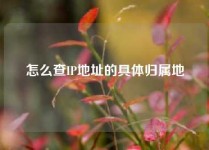 怎么查IP地址的具体归属地