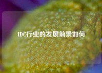 IDC行业的发展前景如何