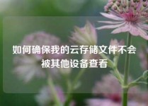 如何确保我的云存储文件不会被其他设备查看