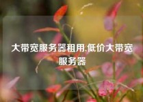 大带宽服务器租用,低价大带宽服务器