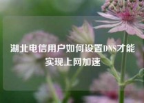 湖北电信用户如何设置DNS才能实现上网加速