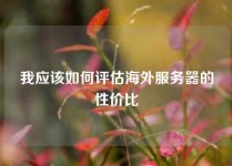 我应该如何评估海外服务器的性价比