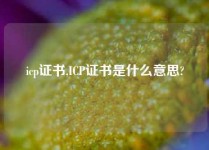 icp证书,ICP证书是什么意思?