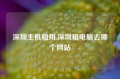深圳主机租用,深圳租电脑去哪个网站