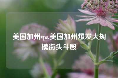 美国加州vps,美国加州爆发大规模街头斗殴