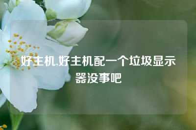 好主机,好主机配一个垃圾显示器没事吧