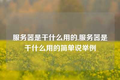服务器是干什么用的,服务器是干什么用的简单说举例